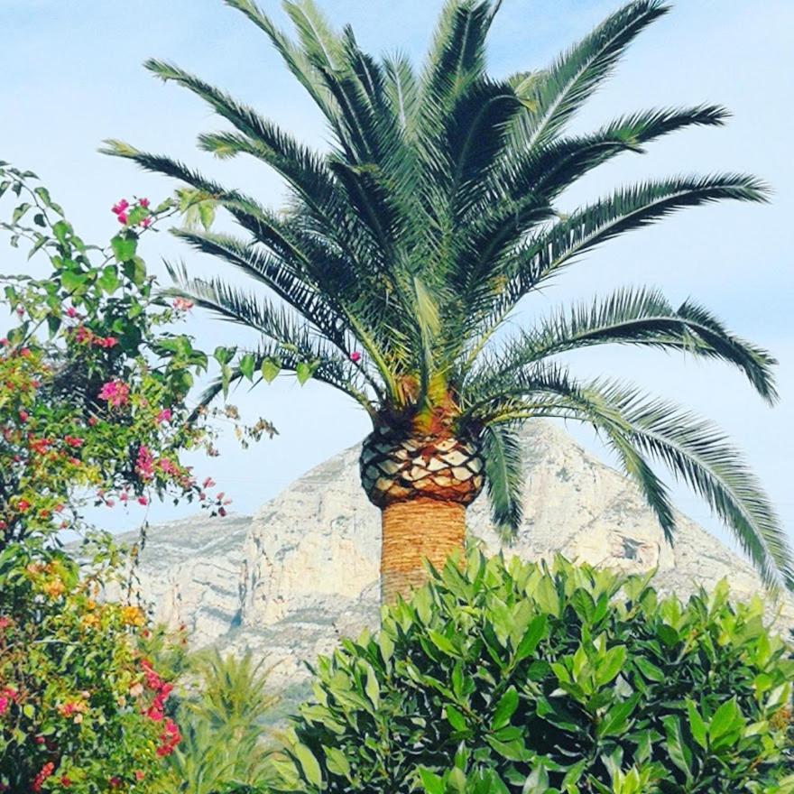 Apartment Paca Javea Exterior photo